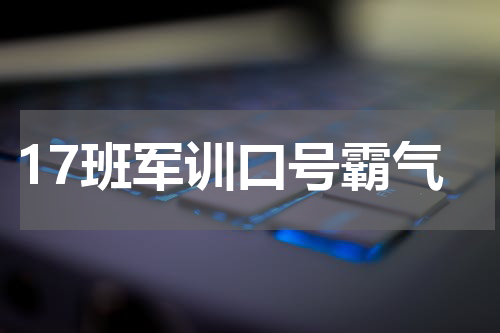 17班军训口号霸气