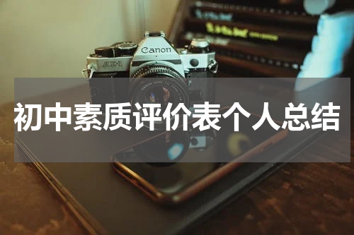 初中素质评价表个人总结