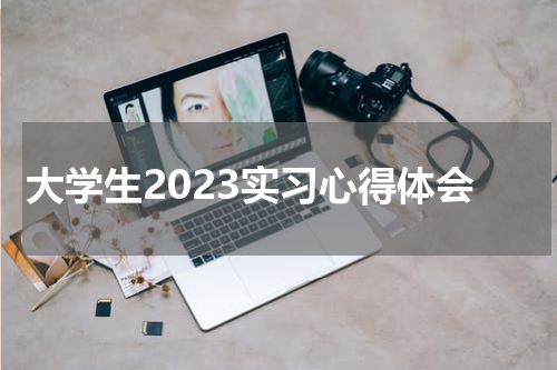 大学生2023实习心得体会