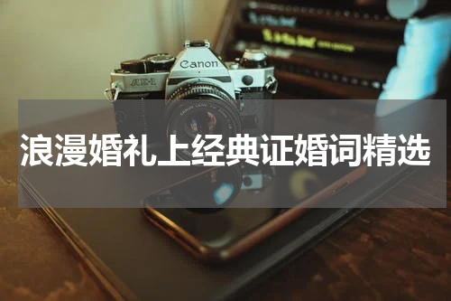 浪漫婚礼上经典证婚词精选