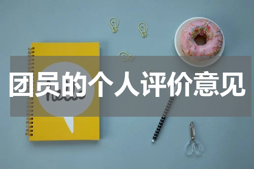 团员的个人评价意见