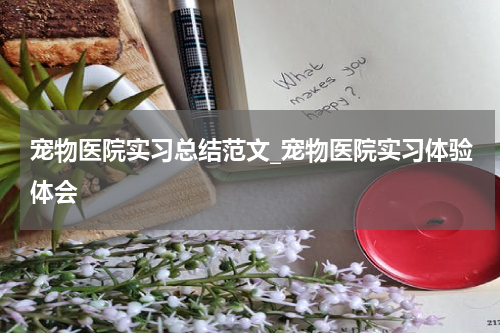 宠物医院实习总结范文_宠物医院实习体验体会