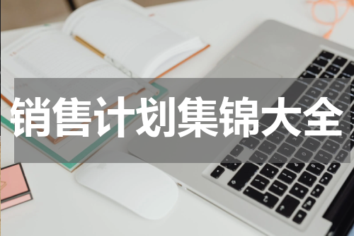 销售计划集锦大全