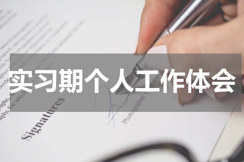实习期个人工作体会