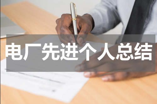 电厂先进个人总结