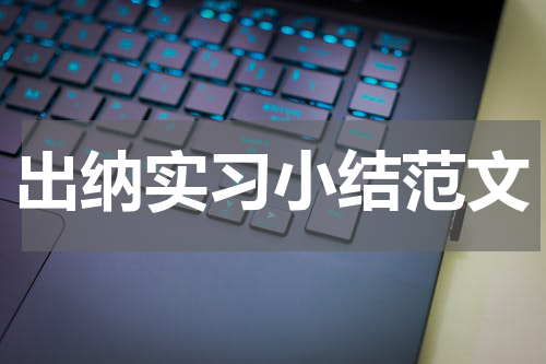 出纳实习小结范文