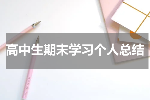 高中生期末学习个人总结