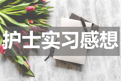 护士实习感想