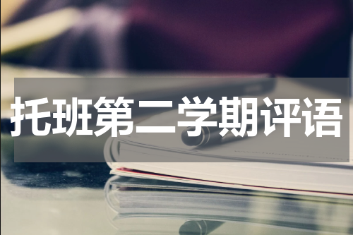 托班第二学期评语