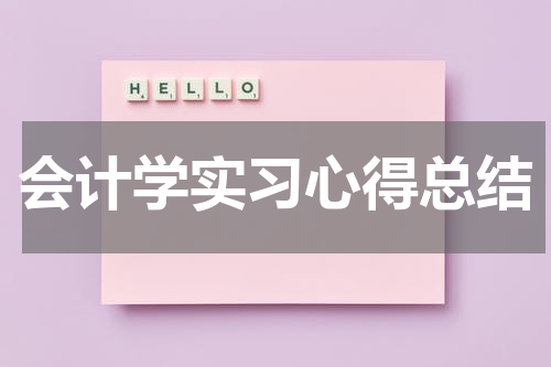 会计学实习心得总结