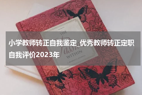 小学教师转正自我鉴定_优秀教师转正定职自我评价2023年