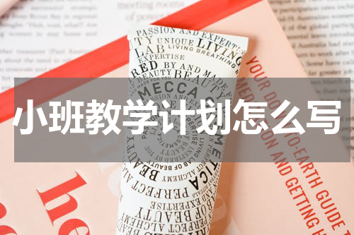 小班教学计划怎么写