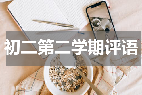 初二第二学期评语