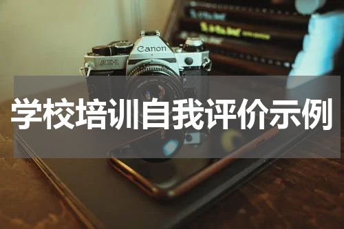 学校培训自我评价示例
