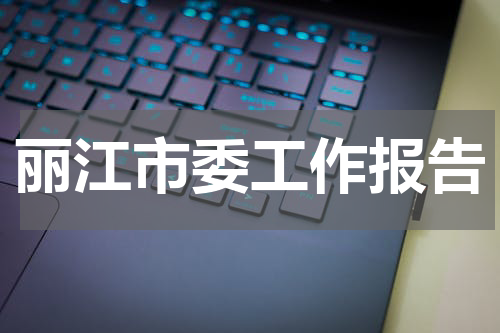 丽江市委工作报告