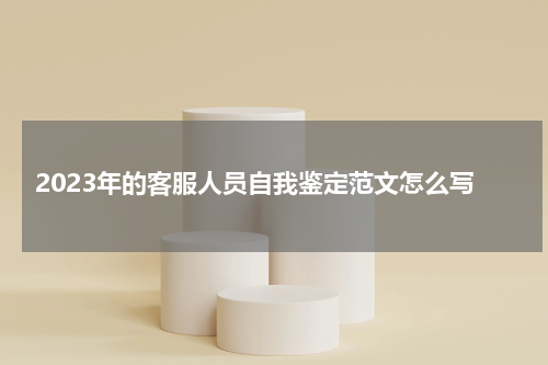 2023年的客服人员自我鉴定范文怎么写