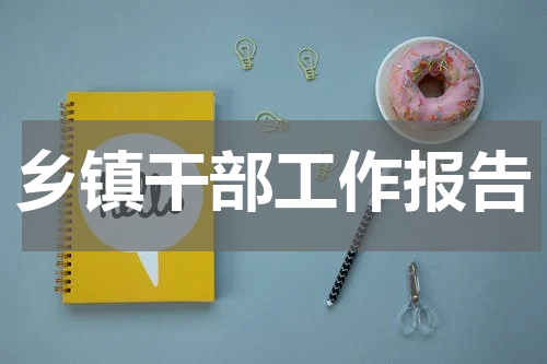 乡镇干部工作报告