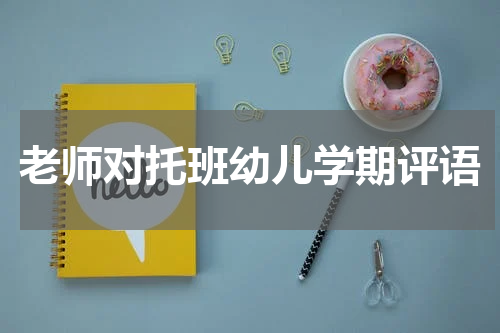 老师对托班幼儿学期评语