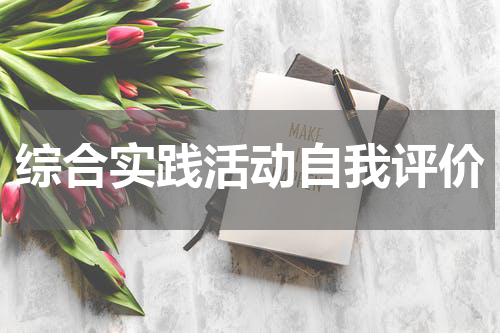 综合实践活动自我评价