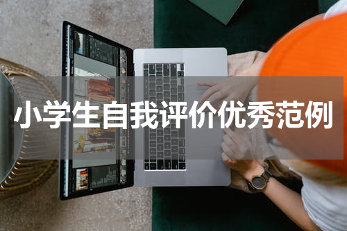 小学生自我评价优秀范例