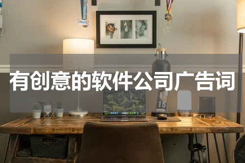有创意的软件公司广告词