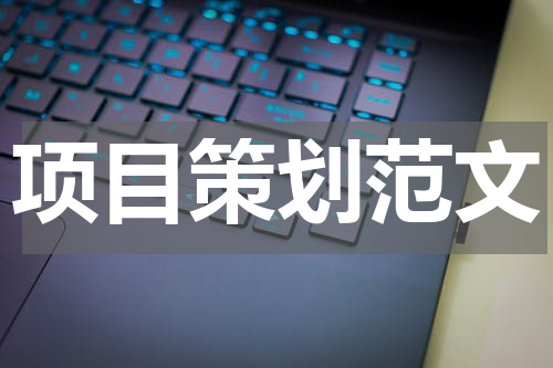 项目策划范文