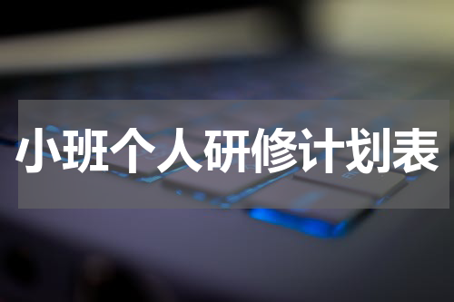 小班个人研修计划表