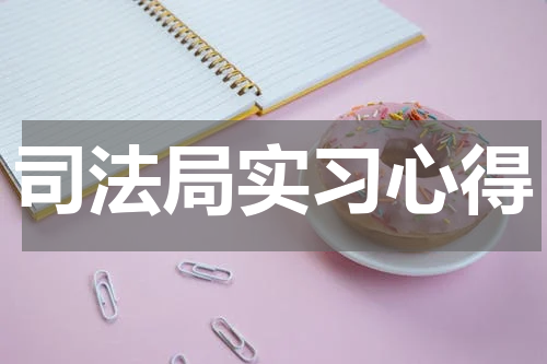 司法局实习心得