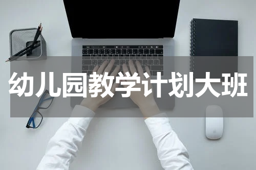 幼儿园教学计划大班