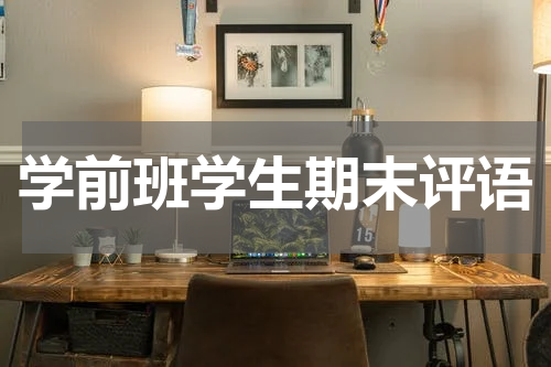 学前班学生期末评语