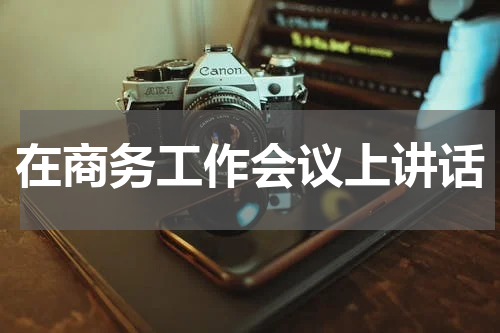 在商务工作会议上讲话
