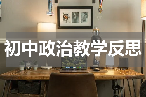 初中政治教学反思