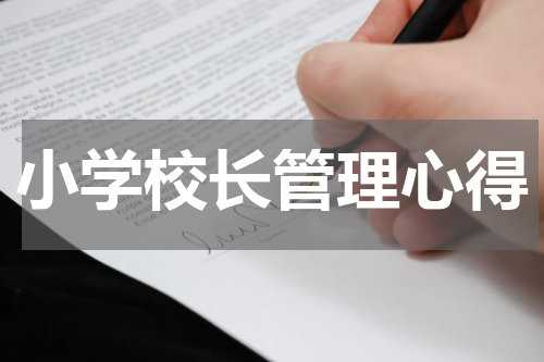 小学校长管理心得