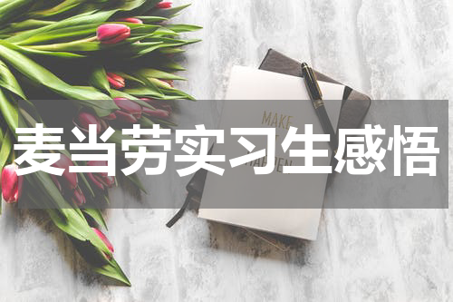 麦当劳实习生感悟