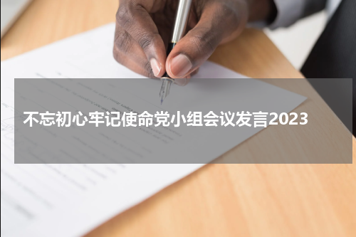 不忘初心牢记使命党小组会议发言2023
