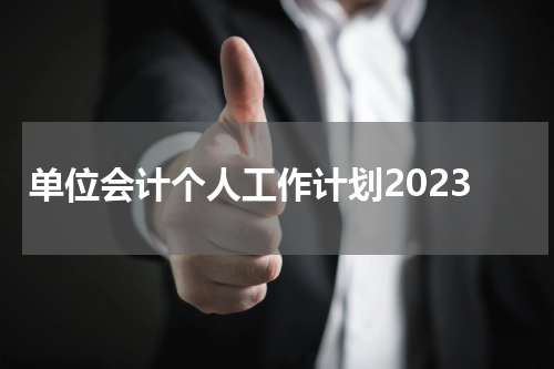 单位会计个人工作计划2023