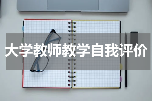 大学教师教学自我评价