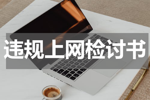 违规上网检讨书