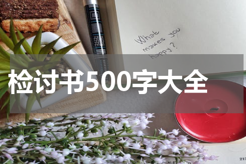 检讨书500字大全