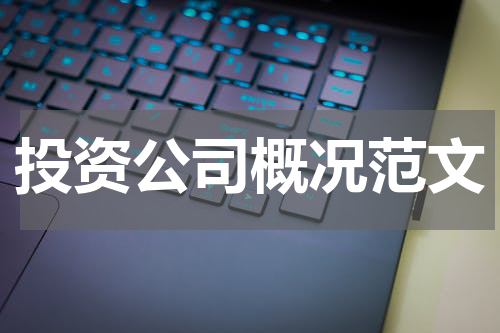 投资公司概况范文