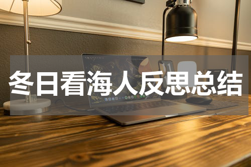 冬日看海人反思总结