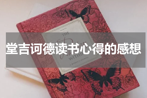 堂吉诃德读书心得的感想