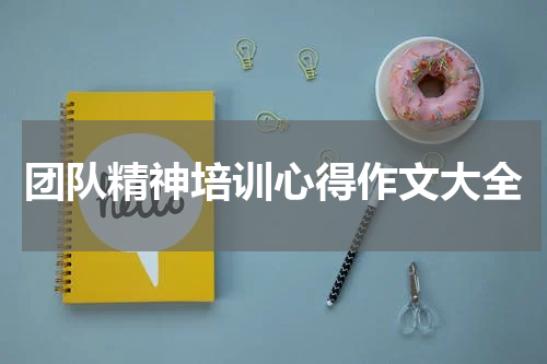 团队精神培训心得作文大全