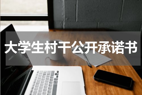 大学生村干公开承诺书