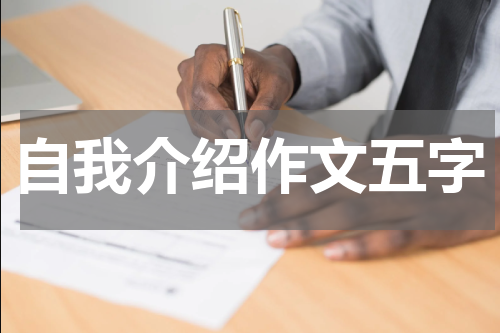 自我介绍作文五字