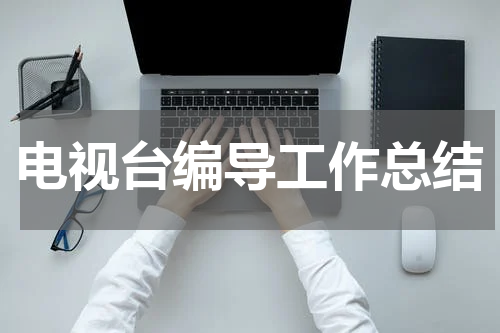 电视台编导工作总结