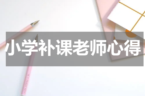 小学补课老师心得
