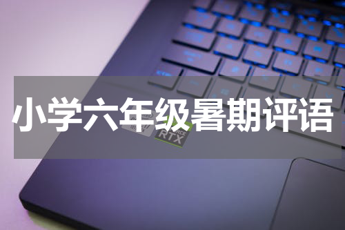 小学六年级暑期评语