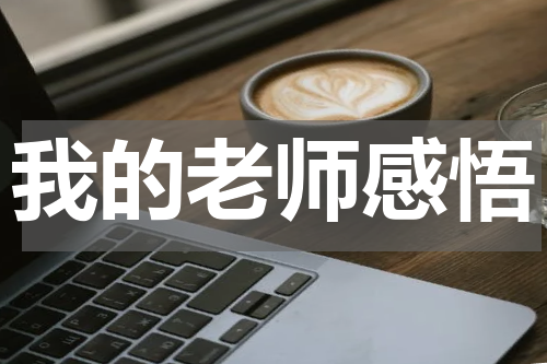 我的老师感悟