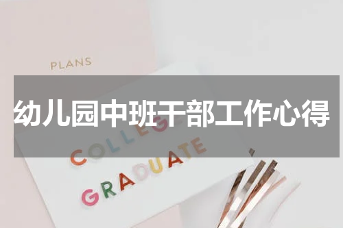 幼儿园中班干部工作心得